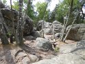 2018-05-24 14-49-18  Rando Fontainebleau FGn